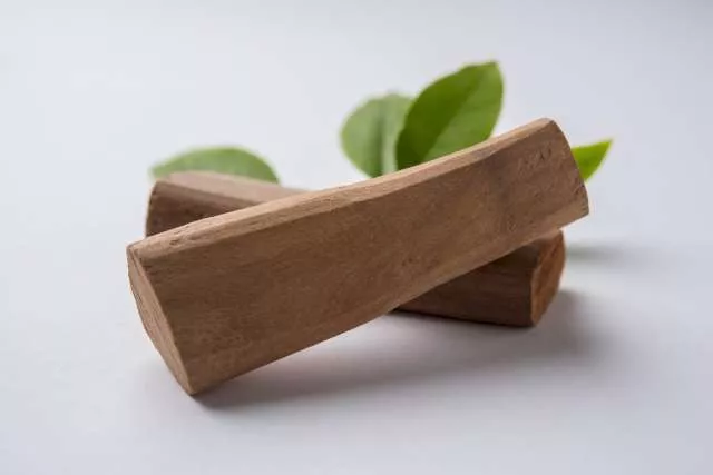 Une photo illustrative de deux morceaux de bois de santal posés l'un sur l'autre. Le fond contient quatre feuilles vertes qui apparaissent légèrement floutées.