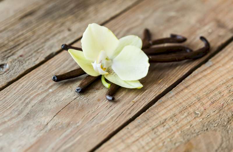 Una foto de una flor de vainilla puesta sobre cuatro vainas de vainilla y colocada sobre una mesa de madera.