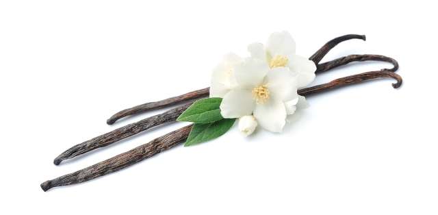 Une photo qui illustre trois fleurs de vanille posées sur trois gousses de vanille sur un fond blanc.