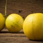 La bergamote en parfumerie, un agrume de qualité inédite.