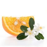 La fleur d'oranger en parfumerie