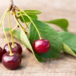 La cerise en parfumerie, un fruit rouge savoureux !