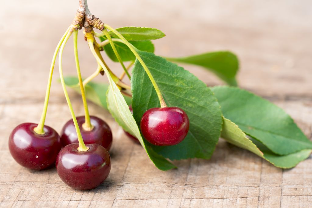 La cerise en parfumerie, un fruit rouge savoureux !