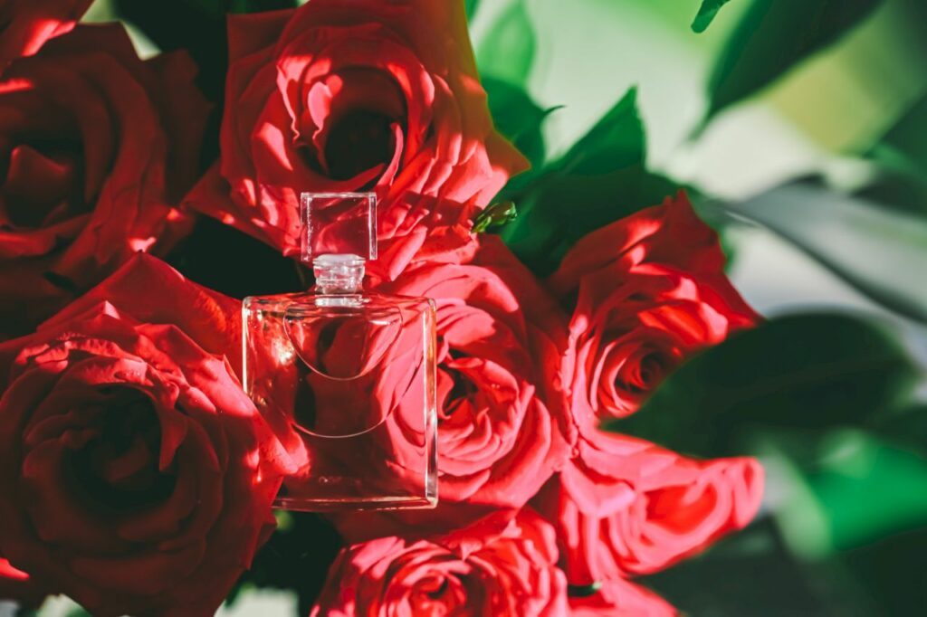 Choosing your summer perfume is often not an easy task.