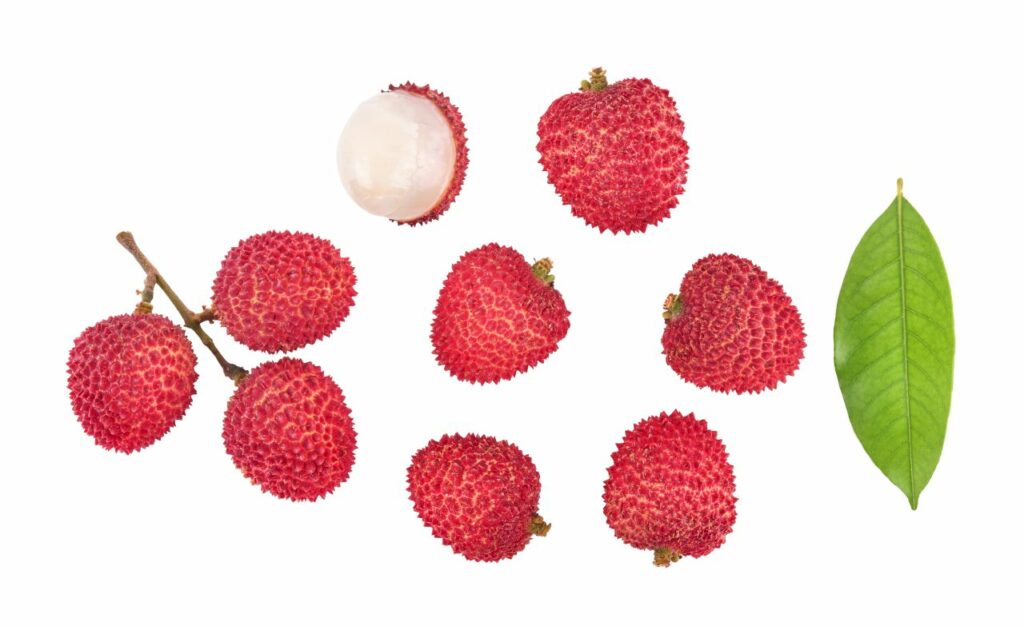 Le parfum litchi, des odeurs fruitées et gourmandes.