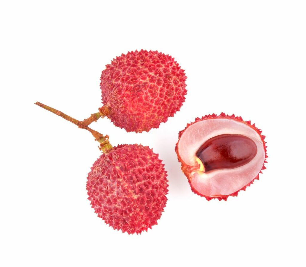 Une photo de trois fruits de litchi sur fond blanc. Le noyau du litchi apparait à droite, sur l'un des trois fruits coupé en deux.